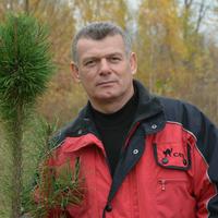 Отзыв от Максим - DTV виза